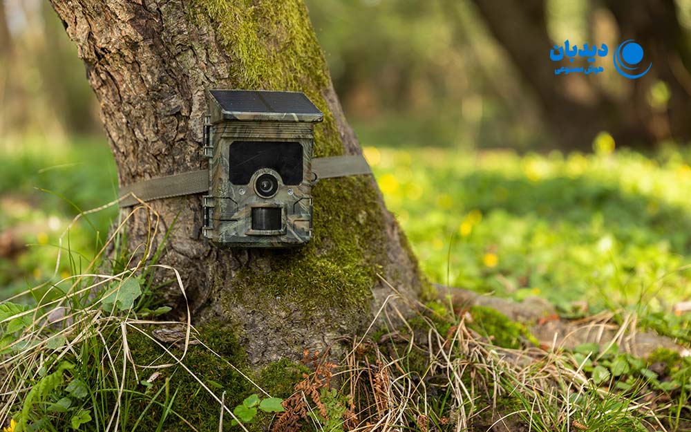 هوش مصنوعی در محیط زیست