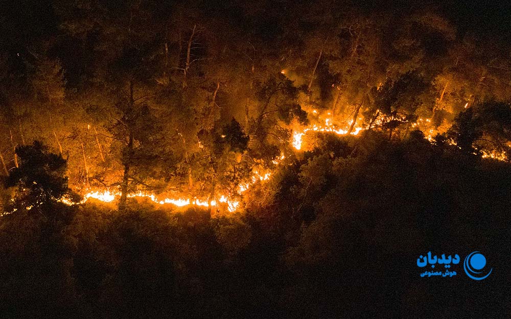 کاربرد هوش مصنوعی در محیط زیست